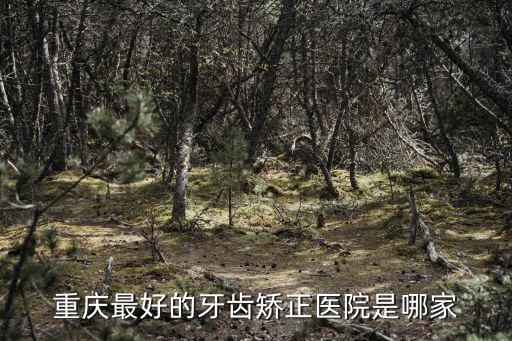 重慶市的邁凱倫，重慶知名的口腔專科醫院