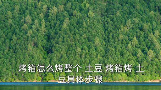  烤箱怎么烤整個 土豆 烤箱烤 土豆具體步驟