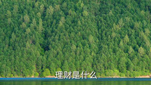 理財是什么