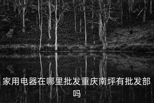 重慶市家用電器哪里買，家用電器在哪里批發(fā)重慶南坪有批發(fā)部嗎