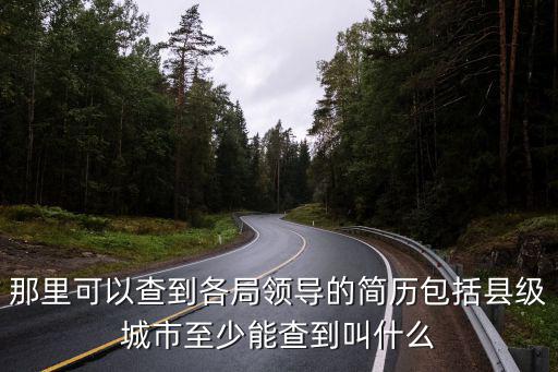 領導簡歷，沈飛領導 簡歷