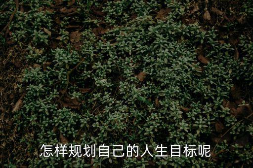 規(guī)劃目標(biāo)，怎樣規(guī)劃自己的人生目標(biāo)呢