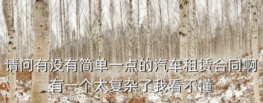 請問有沒有簡單一點(diǎn)的汽車租賃合同啊有一個(gè)太復(fù)雜了我看不懂
