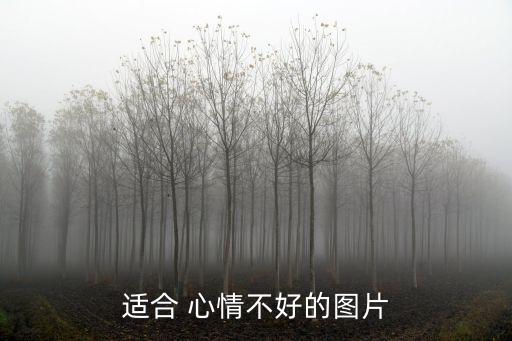 女人心情不好的圖片,第二集:你知道我心碎嗎?