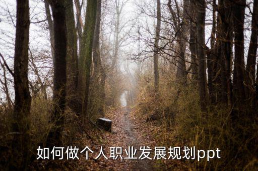 如何做個人職業(yè)發(fā)展規(guī)劃ppt