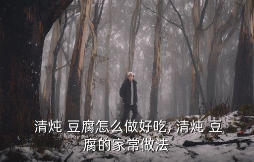  清燉 豆腐怎么做好吃, 清燉 豆腐的家常做法
