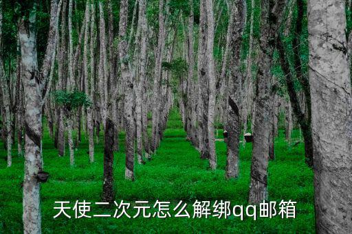 天使二次元怎么解綁qq郵箱