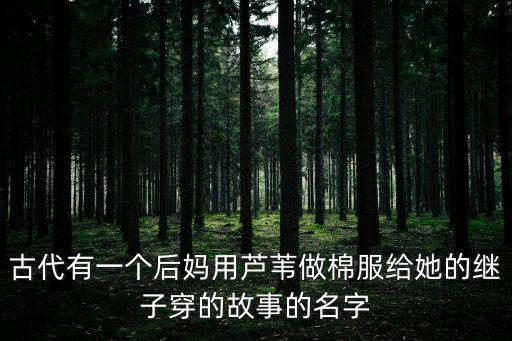閔損蘆衣,父親不知道兒子被虐待十一孝子送上門