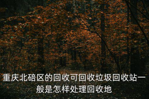 重慶市北碚區(qū)除渣，重慶北碚區(qū)的回收可回收垃圾回收站一般是怎樣處理回收地
