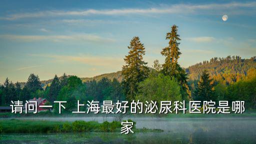 請(qǐng)問(wèn)一下 上海最好的泌尿科醫(yī)院是哪家