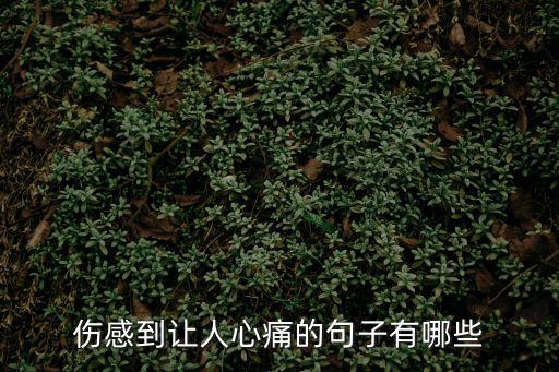 傷感到讓人心痛的句子有哪些