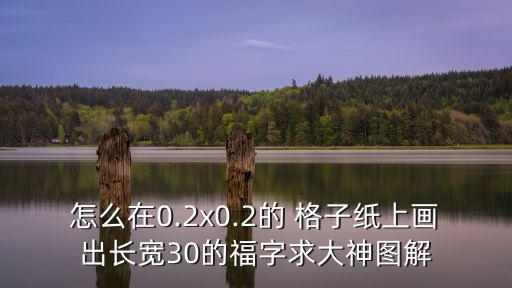 怎么在0.2x0.2的 格子紙上畫出長寬30的福字求大神圖解