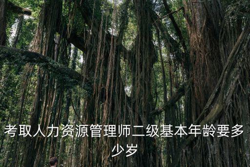 考取人力資源管理師二級(jí)基本年齡要多少歲