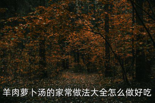 羊肉蘿卜湯的家常做法大全怎么做好吃
