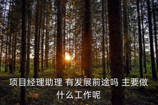 項目經理助理 有發展前途嗎 主要做什么工作呢
