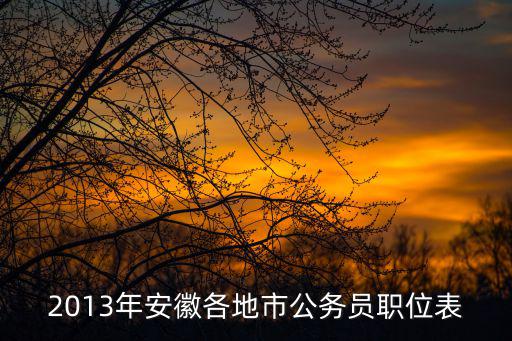 2013年安徽各地市公務(wù)員職位表