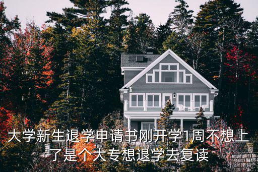 退學申請表，大學新生退學申請書剛開學1周不想上了是個大專想退學去復讀