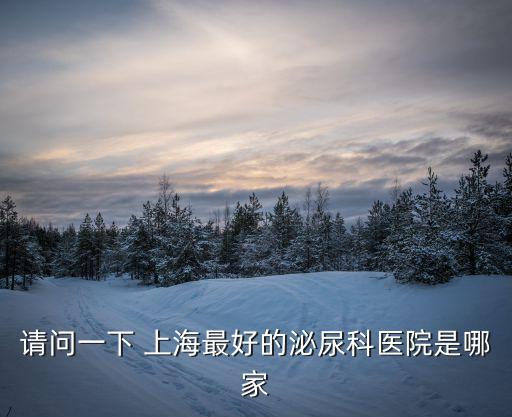 請問一下 上海最好的泌尿科醫院是哪家