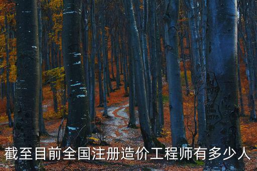 截至目前全國注冊造價工程師有多少人