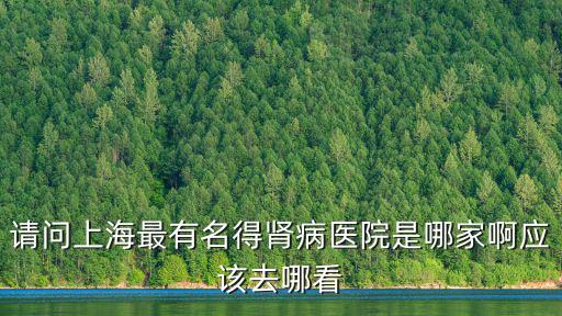 請問上海最有名得腎病醫院是哪家啊應該去哪看