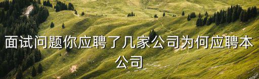 面試問題你應聘了幾家公司為何應聘本公司