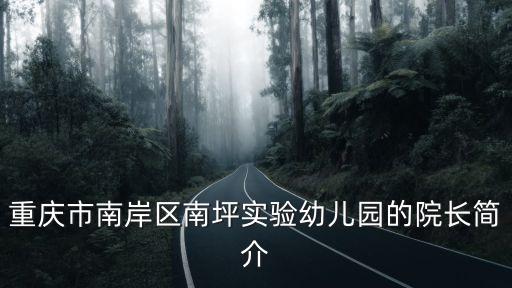 重慶市南岸區南坪實驗幼兒園的院長簡介