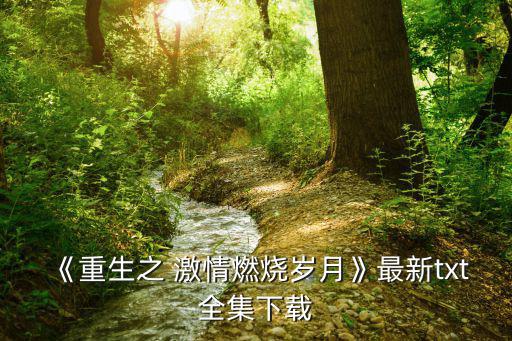 《重生之 激情燃燒歲月》最新txt全集下載