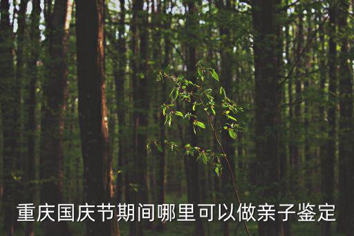 重慶國(guó)慶節(jié)期間哪里可以做親子鑒定