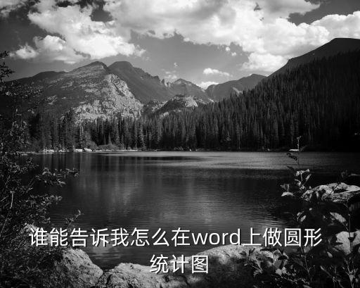 誰能告訴我怎么在word上做圓形 統計圖
