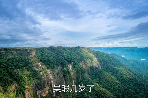 吳瑕幾歲了
