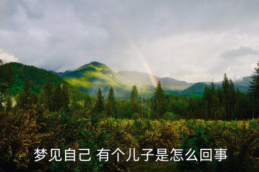 夢見自己有個兒子,夢見你兒子多主人多財運旺盛是好兆頭