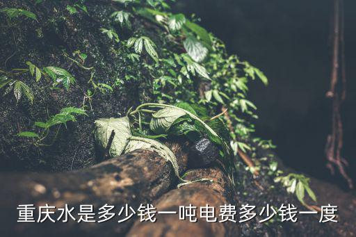 重慶市水一，重慶水是多少錢一噸電費多少錢一度