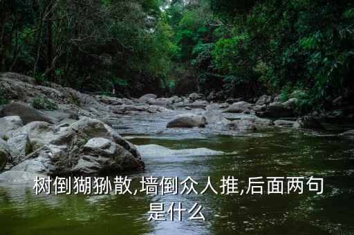  樹倒猢猻散,墻倒眾人推,后面兩句是什么