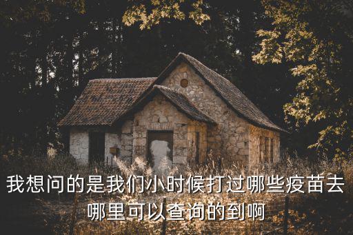 我想問的是我們小時候打過哪些疫苗去哪里可以查詢的到啊