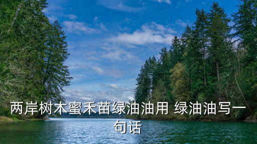 兩岸樹木蜜禾苗綠油油用 綠油油寫一句話