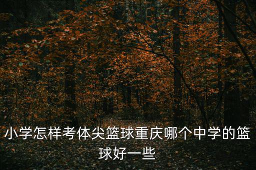 小學怎樣考體尖籃球重慶哪個中學的籃球好一些