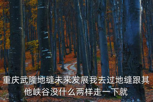 重慶市武隆區的發展思考，重慶武隆地縫未來發展我去過地縫跟其他峽谷沒什么兩樣走一下就