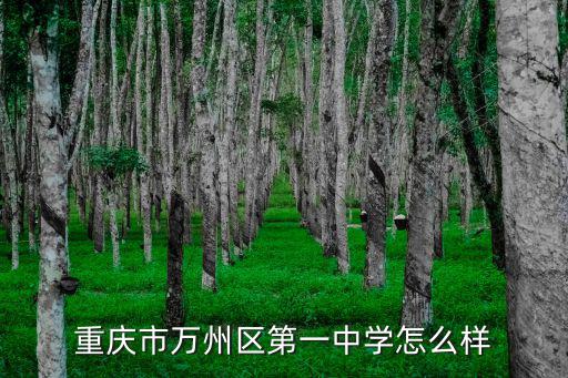重慶市萬州區第一中學怎么樣