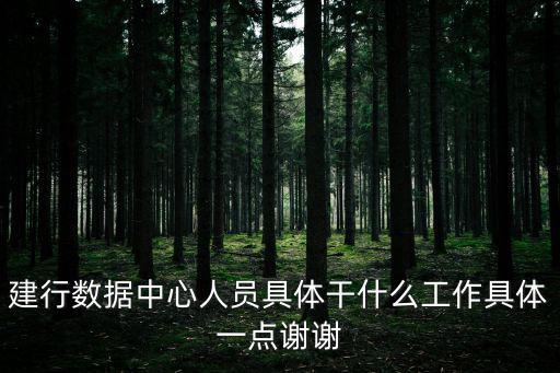 建行數據中心人員具體干什么工作具體一點謝謝