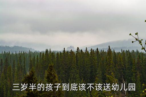  三歲半的孩子到底該不該送幼兒園