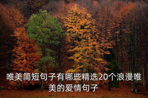唯美簡短句子有哪些精選20個浪漫唯美的愛情句子