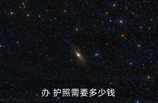 辦 護照需要多少錢