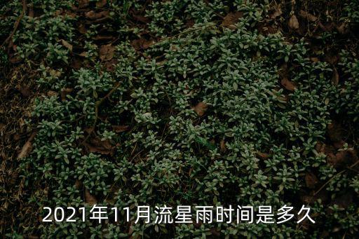 2021年11月流星雨時間是多久