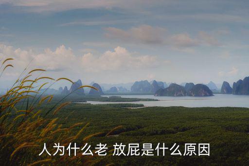 人為什么老 放屁是什么原因