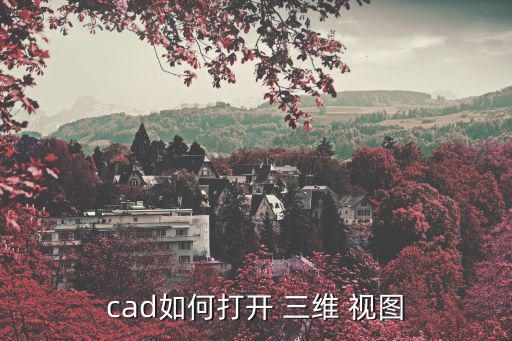 三維視圖,如何設置三維視圖?方法在于下方