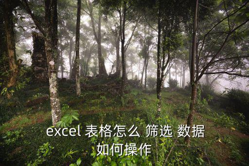  excel 表格怎么 篩選 數據如何操作
