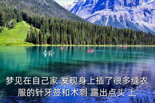 夢見在自己家 發現身上插了很多縫衣服的針牙簽和木刺 露出點頭 上