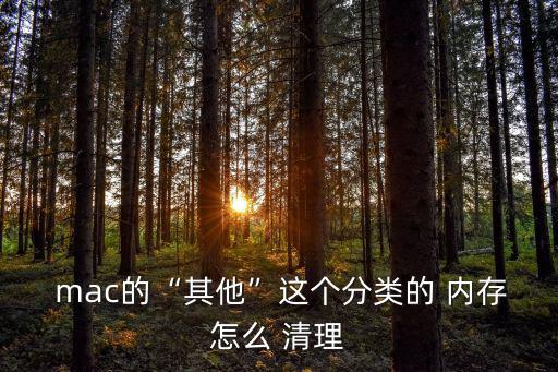  mac的“其他”這個分類的 內存怎么 清理