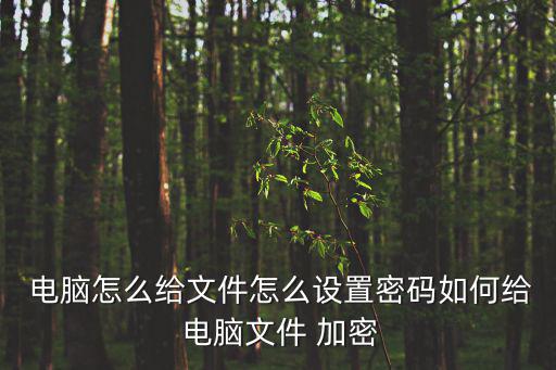  電腦怎么給文件怎么設置密碼如何給 電腦文件 加密