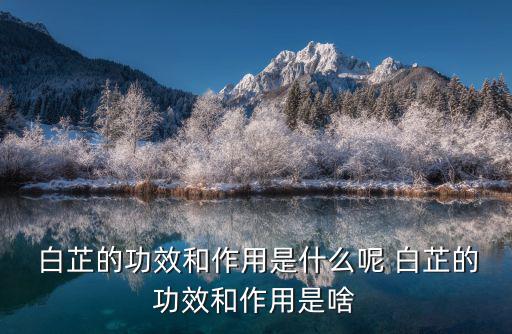  白芷的功效和作用是什么呢 白芷的功效和作用是啥